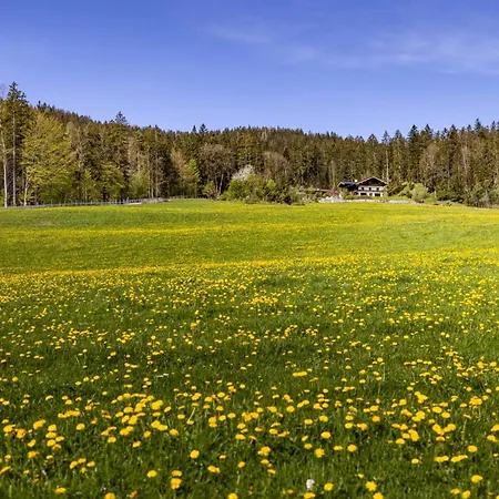 Gaestehaus Saegfeiler *